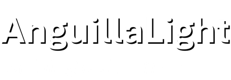AnguillaLight — Guiding eel with light